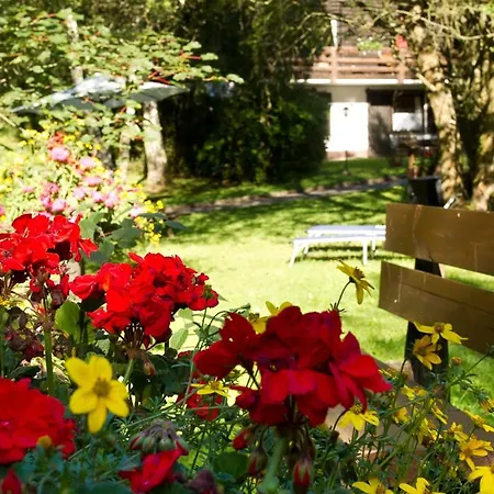 Apartment Haus 2 - Typ A *